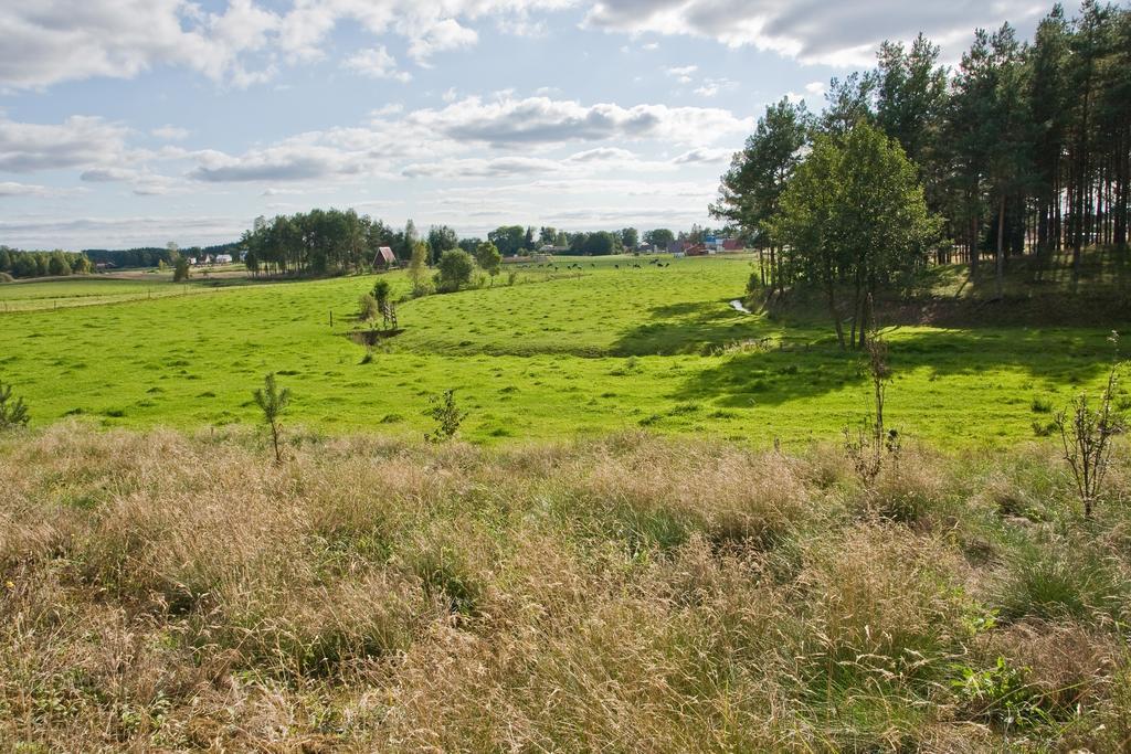 Agroturystyka Sominy Piotr Esterno foto