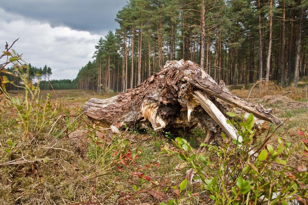 Agroturystyka Sominy Piotr Esterno foto