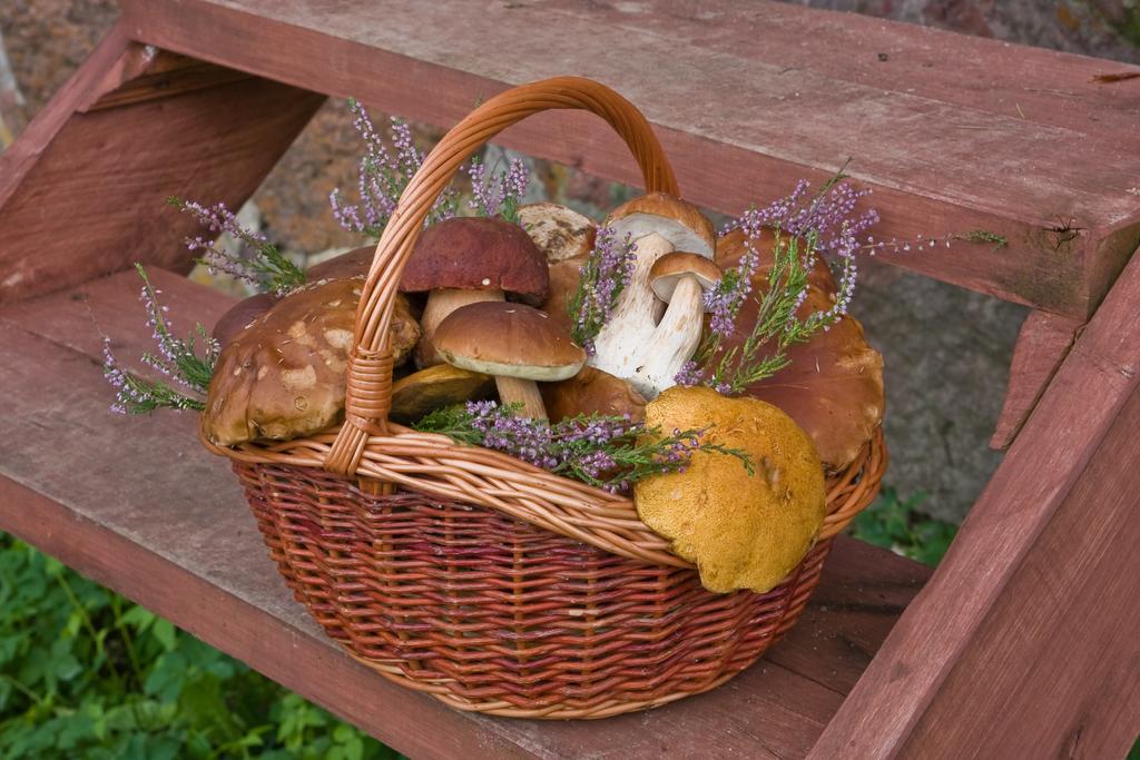 Agroturystyka Sominy Piotr Esterno foto