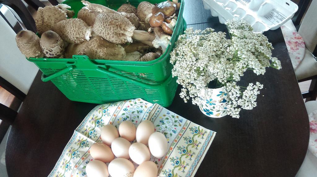 Agroturystyka Sominy Piotr Esterno foto
