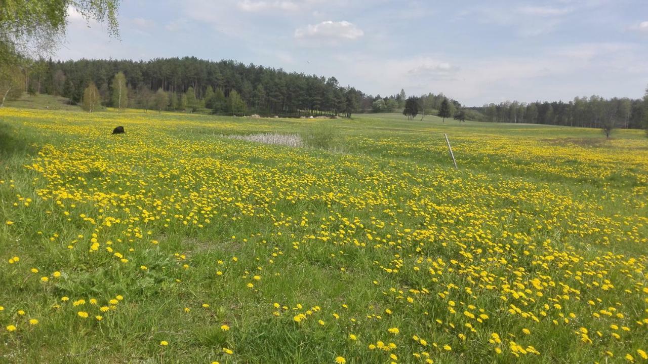 Agroturystyka Sominy Piotr Esterno foto